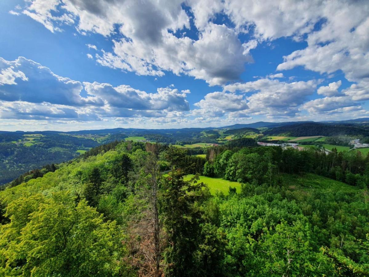 毛特Haus Bergblick公寓 外观 照片