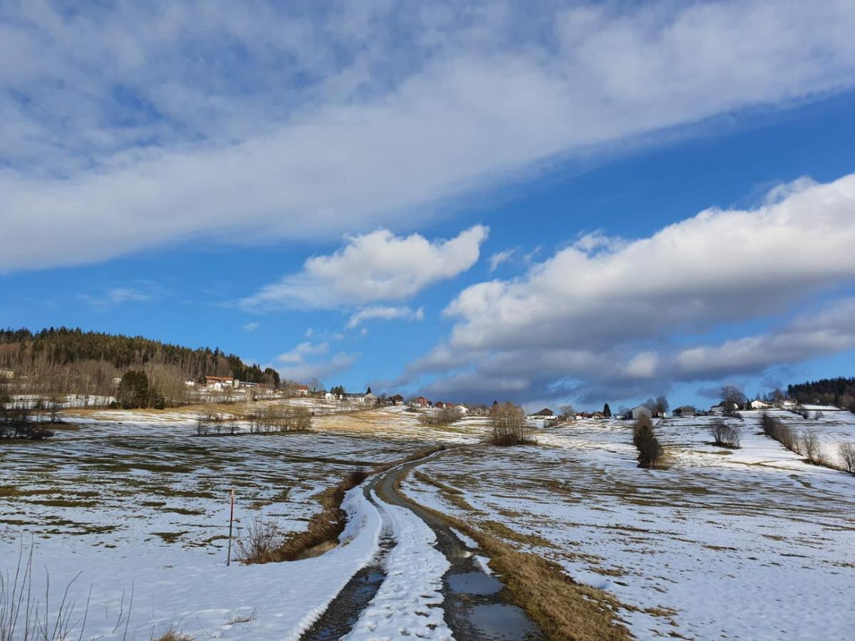 毛特Haus Bergblick公寓 外观 照片